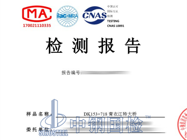 DK153+718 青衣江特大橋管道摩阻試驗(yàn)檢測報(bào)告