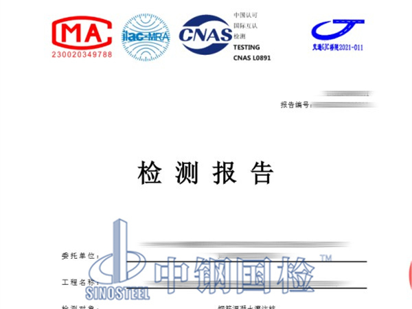 灌注樁檢測(cè)報(bào)告